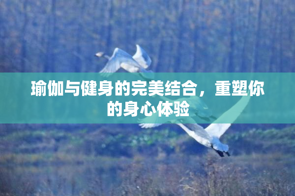 瑜伽与健身的完美结合，重塑你的身心体验