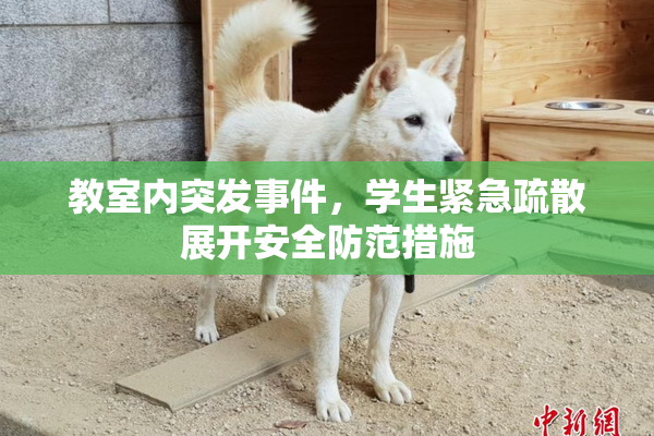 教室内突发事件，学生紧急疏散展开安全防范措施