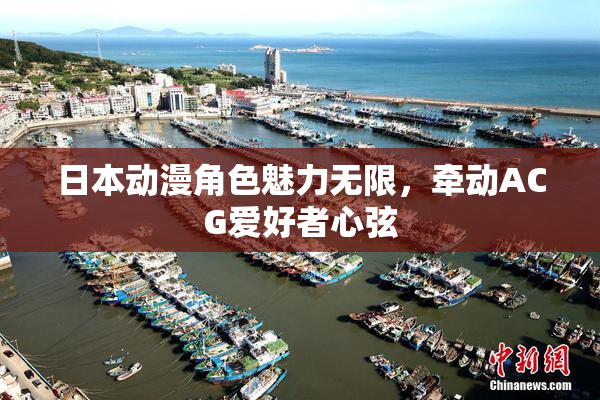 日本动漫角色魅力无限，牵动ACG爱好者心弦