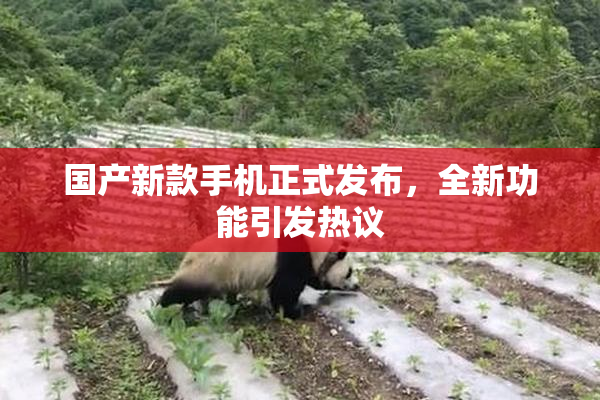 国产新款手机正式发布，全新功能引发热议
