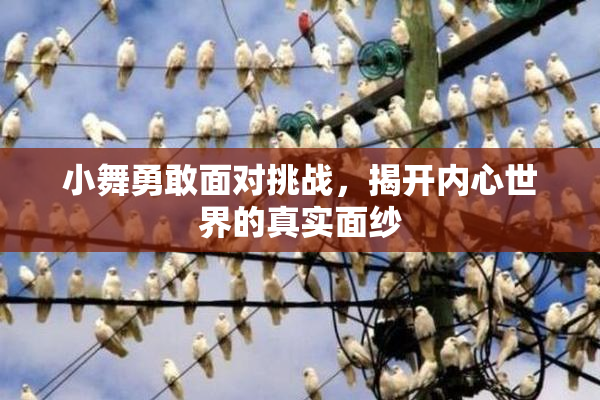 小舞勇敢面对挑战，揭开内心世界的真实面纱