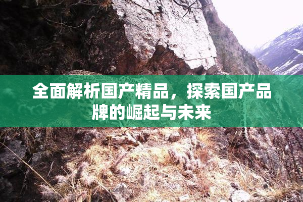 全面解析国产精品，探索国产品牌的崛起与未来