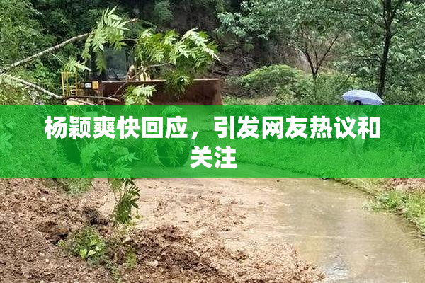 杨颖爽快回应，引发网友热议和关注