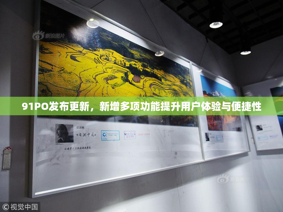 91PO发布更新，新增多项功能提升用户体验与便捷性