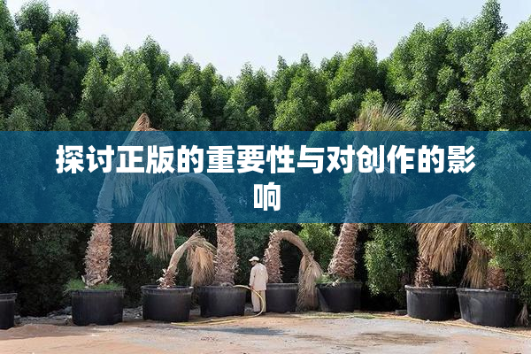 探讨正版的重要性与对创作的影响