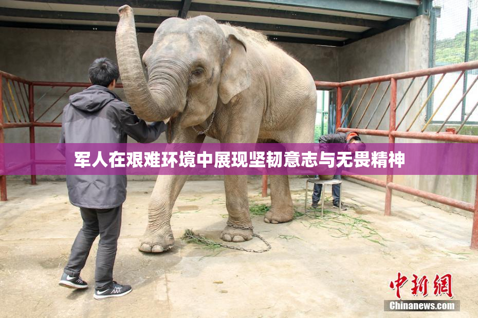 军人在艰难环境中展现坚韧意志与无畏精神