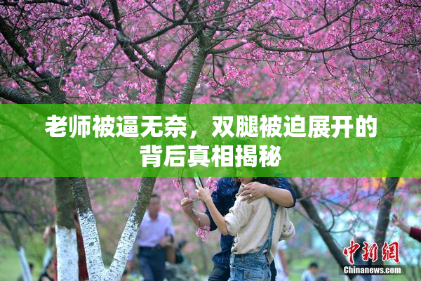 老师被逼无奈，双腿被迫展开的背后真相揭秘