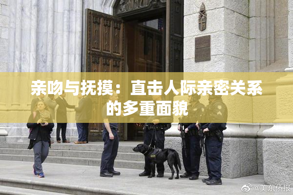 亲吻与抚摸：直击人际亲密关系的多重面貌