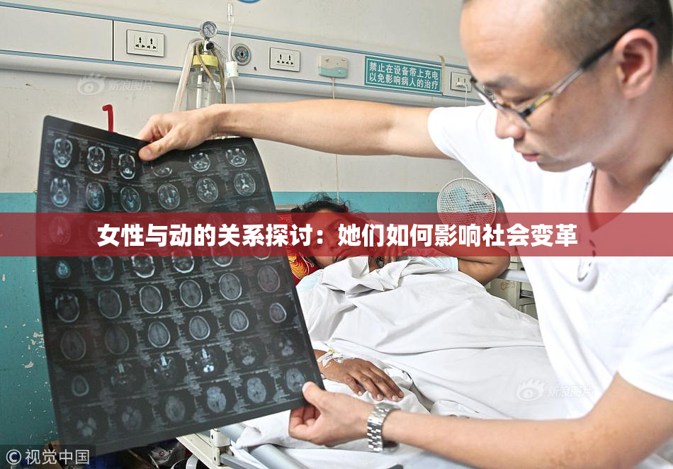 女性与动的关系探讨：她们如何影响社会变革