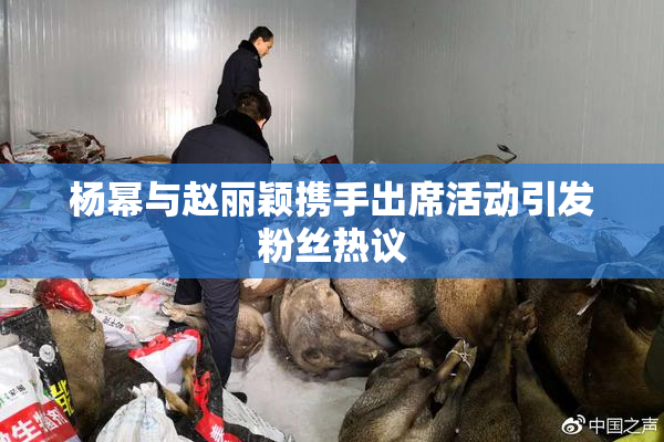 杨幂与赵丽颖携手出席活动引发粉丝热议