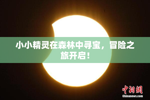 小小精灵在森林中寻宝，冒险之旅开启！