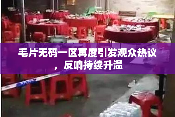 毛片无码一区再度引发观众热议，反响持续升温