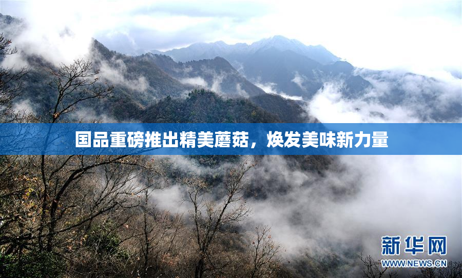 国品重磅推出精美蘑菇，焕发美味新力量