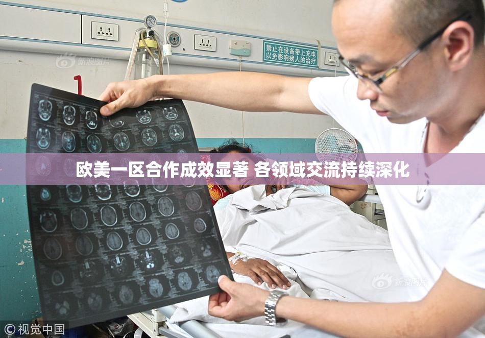 欧美一区合作成效显著 各领域交流持续深化