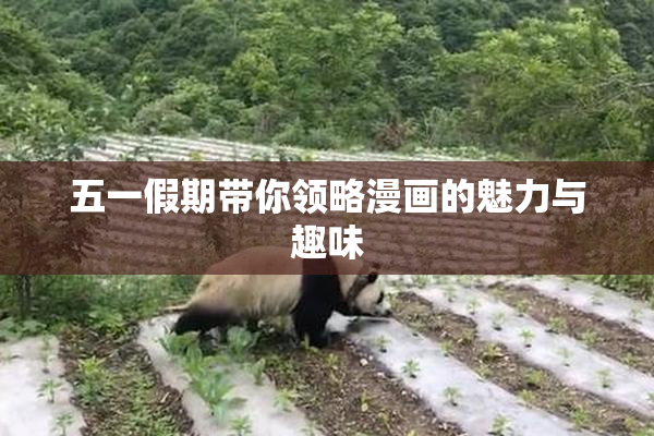 五一假期带你领略漫画的魅力与趣味