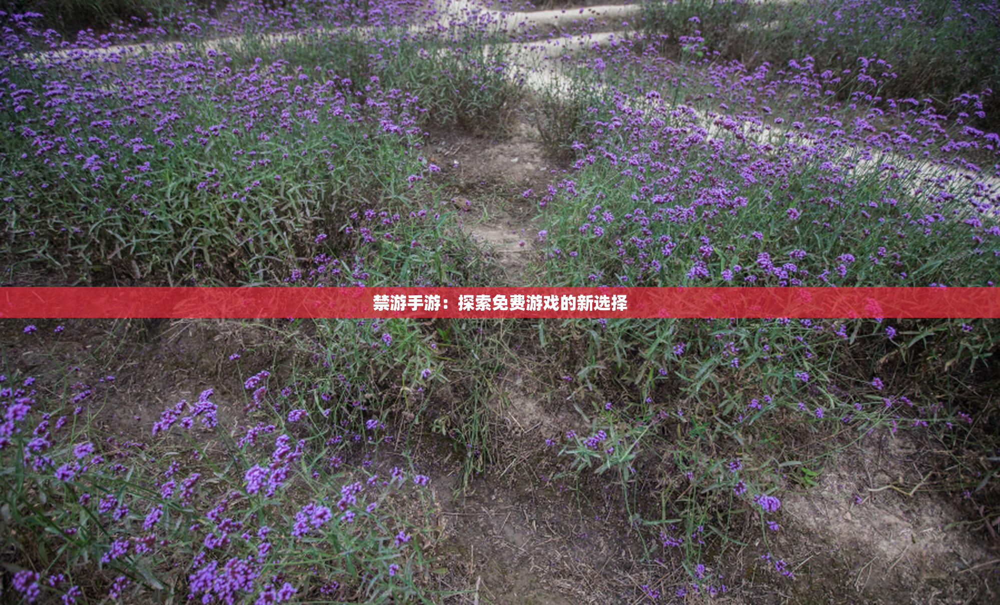 禁游手游：探索免费游戏的新选择