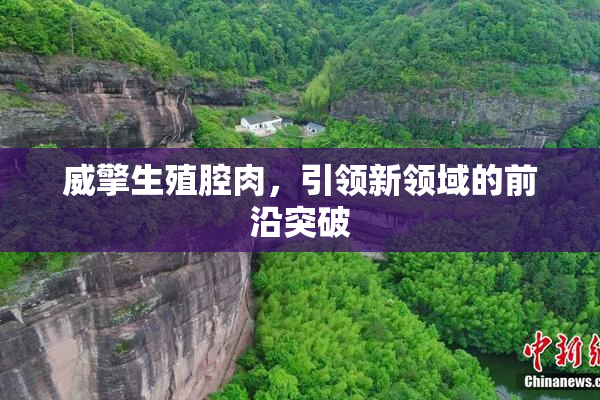 威擎生殖腔肉，引领新领域的前沿突破