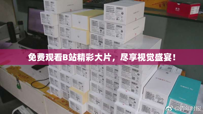 免费观看B站精彩大片，尽享视觉盛宴！