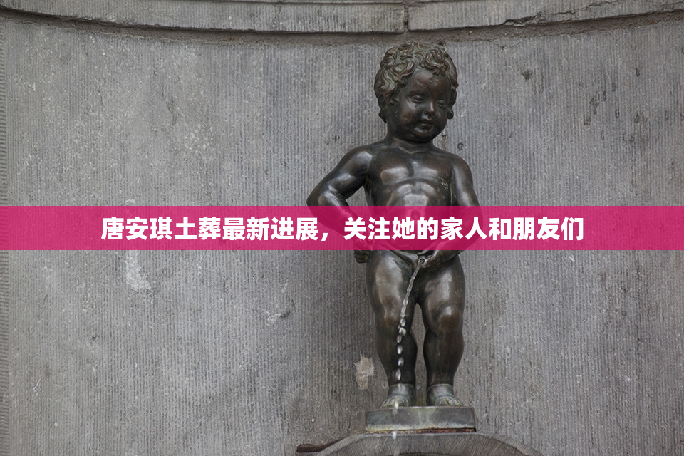 唐安琪土葬最新进展，关注她的家人和朋友们