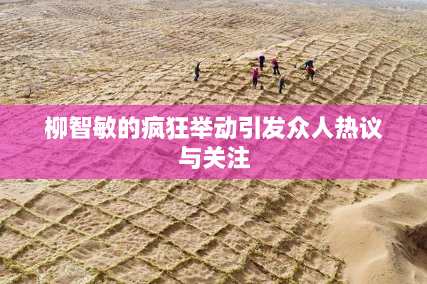 柳智敏的疯狂举动引发众人热议与关注
