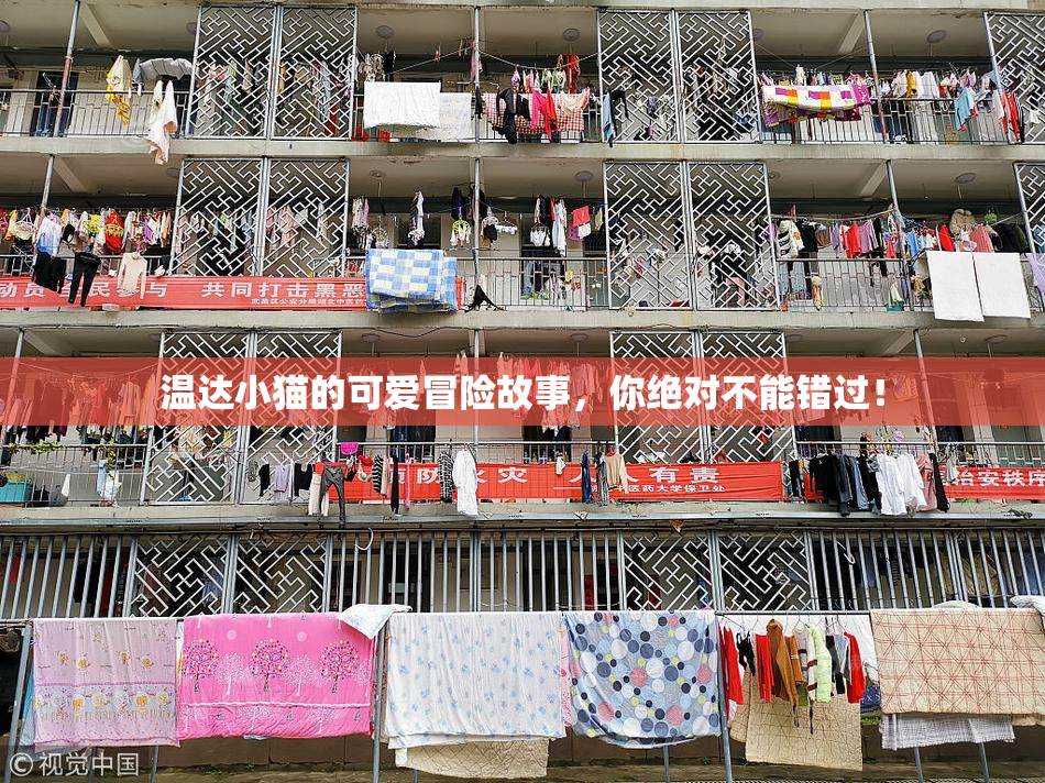 温达小猫的可爱冒险故事，你绝对不能错过！