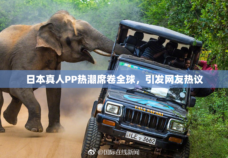 日本真人PP热潮席卷全球，引发网友热议