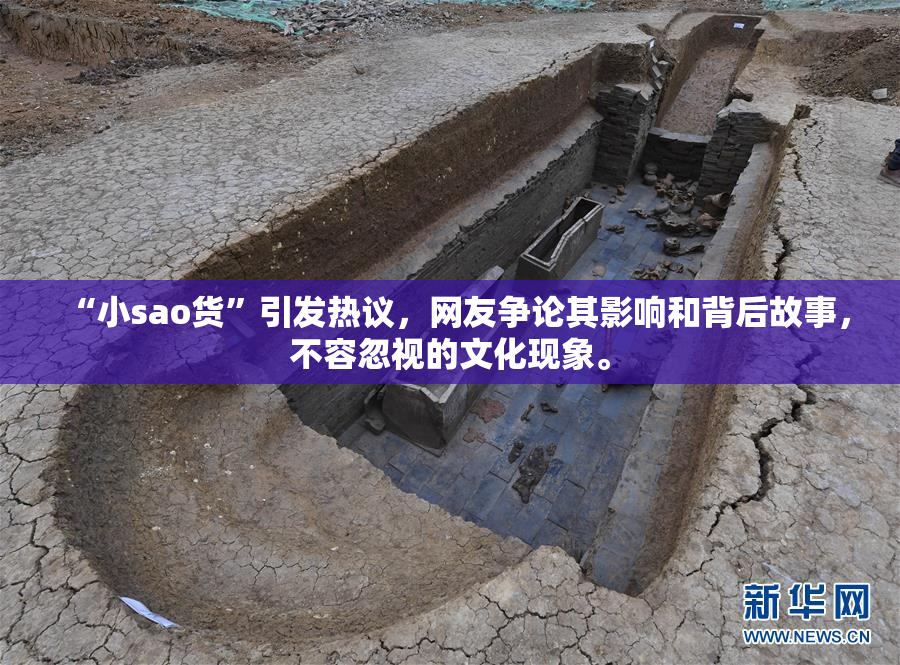 “小sao货”引发热议，网友争论其影响和背后故事，不容忽视的文化现象。