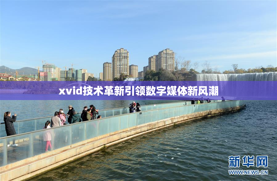 xvid技术革新引领数字媒体新风潮