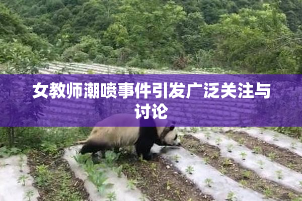 女教师潮喷事件引发广泛关注与讨论