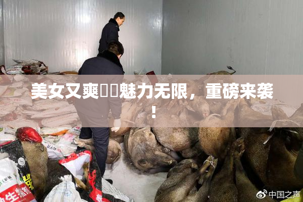 美女又爽❌‌魅力无限，重磅来袭！