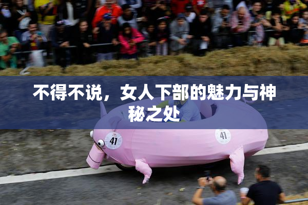 不得不说，女人下部的魅力与神秘之处