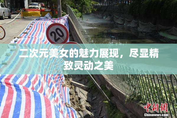 二次元美女的魅力展现，尽显精致灵动之美