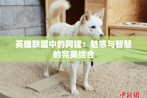英雄联盟中的阿狸：魅惑与智慧的完美结合
