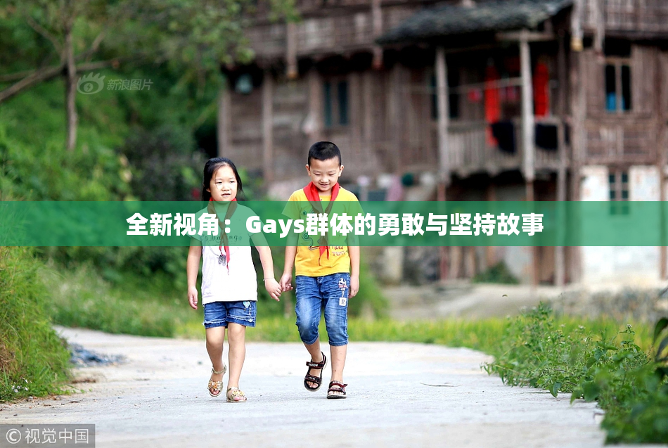 全新视角：Gays群体的勇敢与坚持故事
