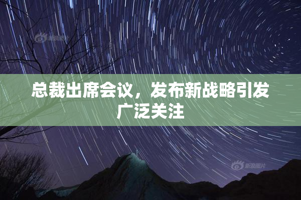 总裁出席会议，发布新战略引发广泛关注