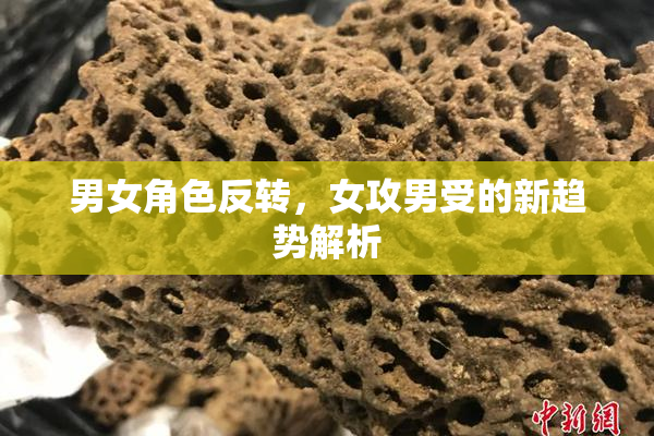 男女角色反转，女攻男受的新趋势解析