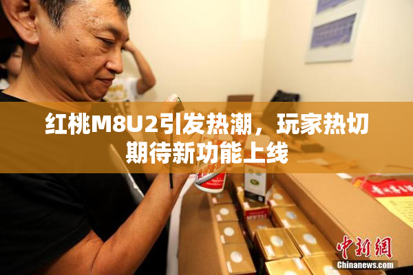 红桃M8U2引发热潮，玩家热切期待新功能上线