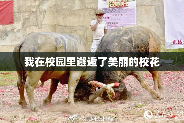 我在校园里邂逅了美丽的校花