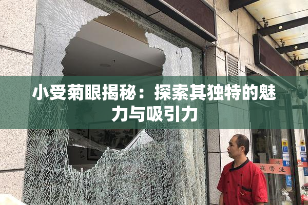 小受菊眼揭秘：探索其独特的魅力与吸引力