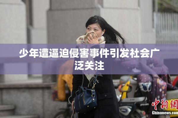 少年遭逼迫侵害事件引发社会广泛关注
