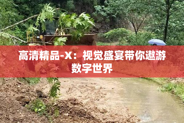 高清精品-X：视觉盛宴带你遨游数字世界