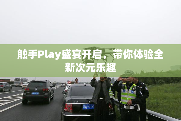 触手Play盛宴开启，带你体验全新次元乐趣