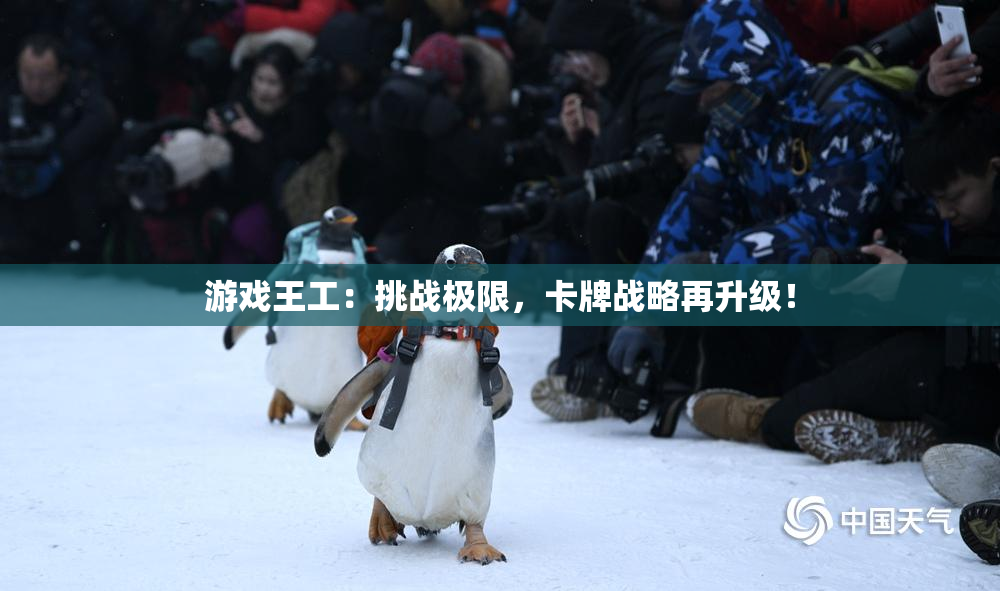 游戏王工：挑战极限，卡牌战略再升级！