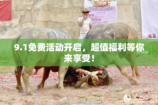 9.1免费活动开启，超值福利等你来享受！