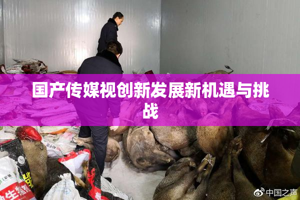 国产传媒视创新发展新机遇与挑战
