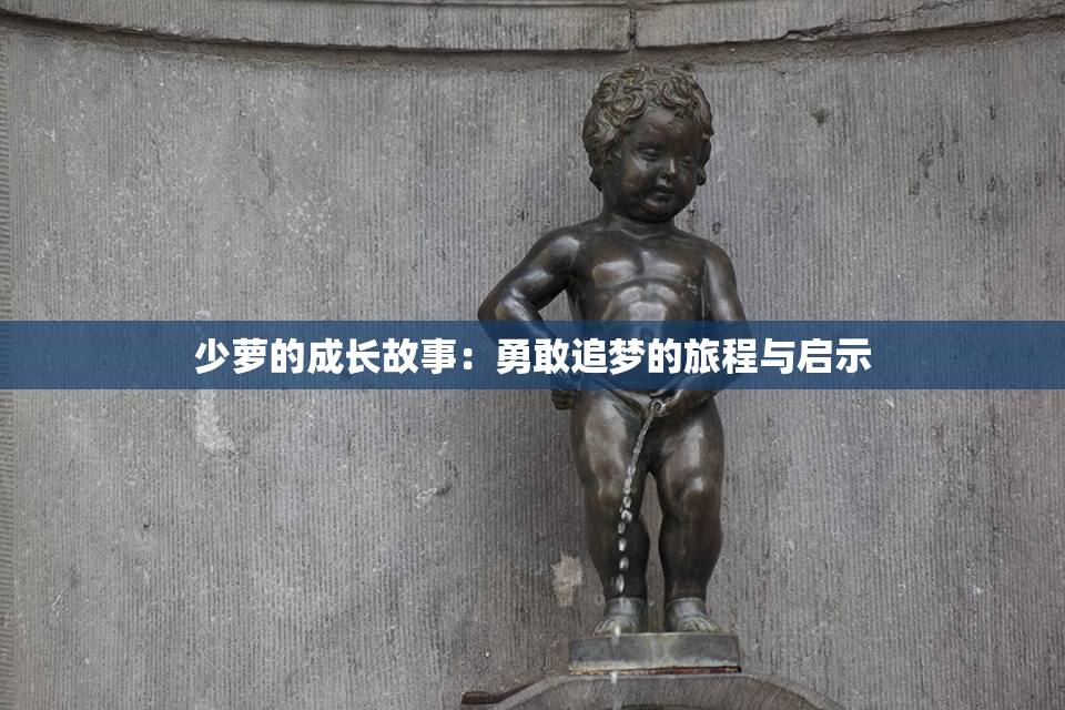 少萝的成长故事：勇敢追梦的旅程与启示