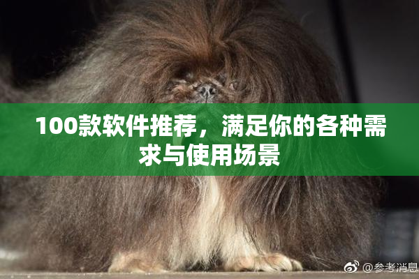 100款软件推荐，满足你的各种需求与使用场景