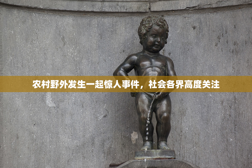 农村野外发生一起惊人事件，社会各界高度关注