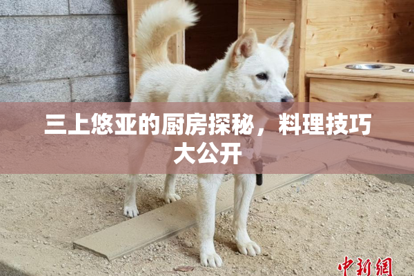 三上悠亚的厨房探秘，料理技巧大公开