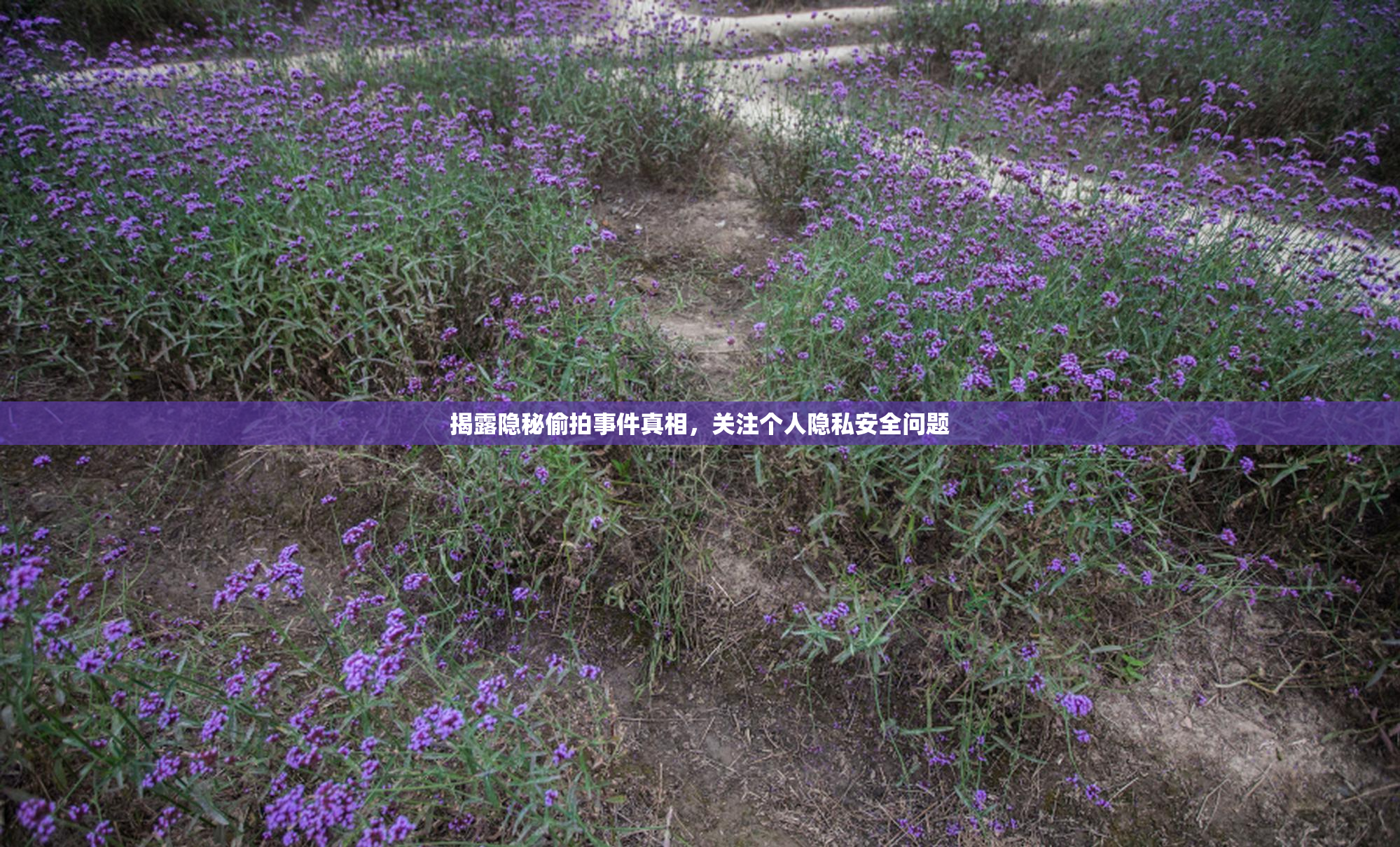 揭露隐秘偷拍事件真相，关注个人隐私安全问题